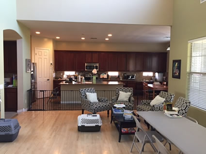 14 Gilbert Before & After