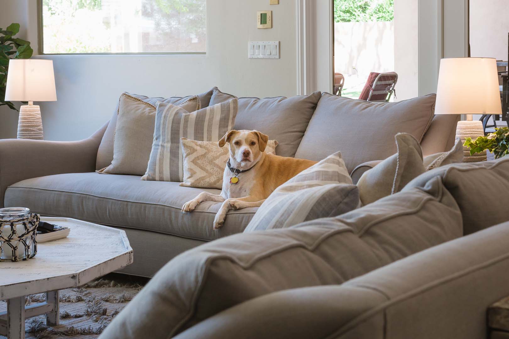 HOME IS OUR NEST Gilbert Interior Design 