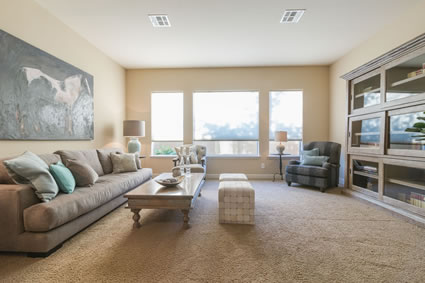Chandler Living Room Design